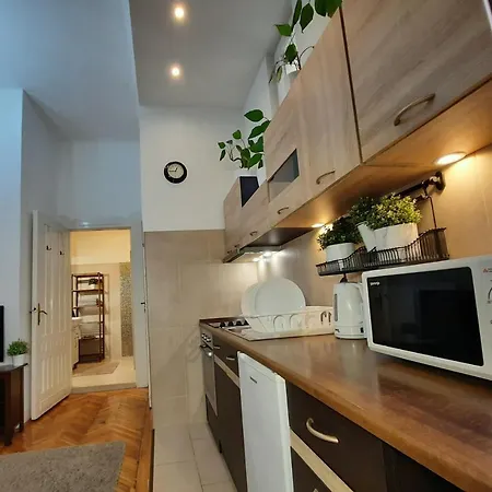 Central Gold Daire Budapeşte
